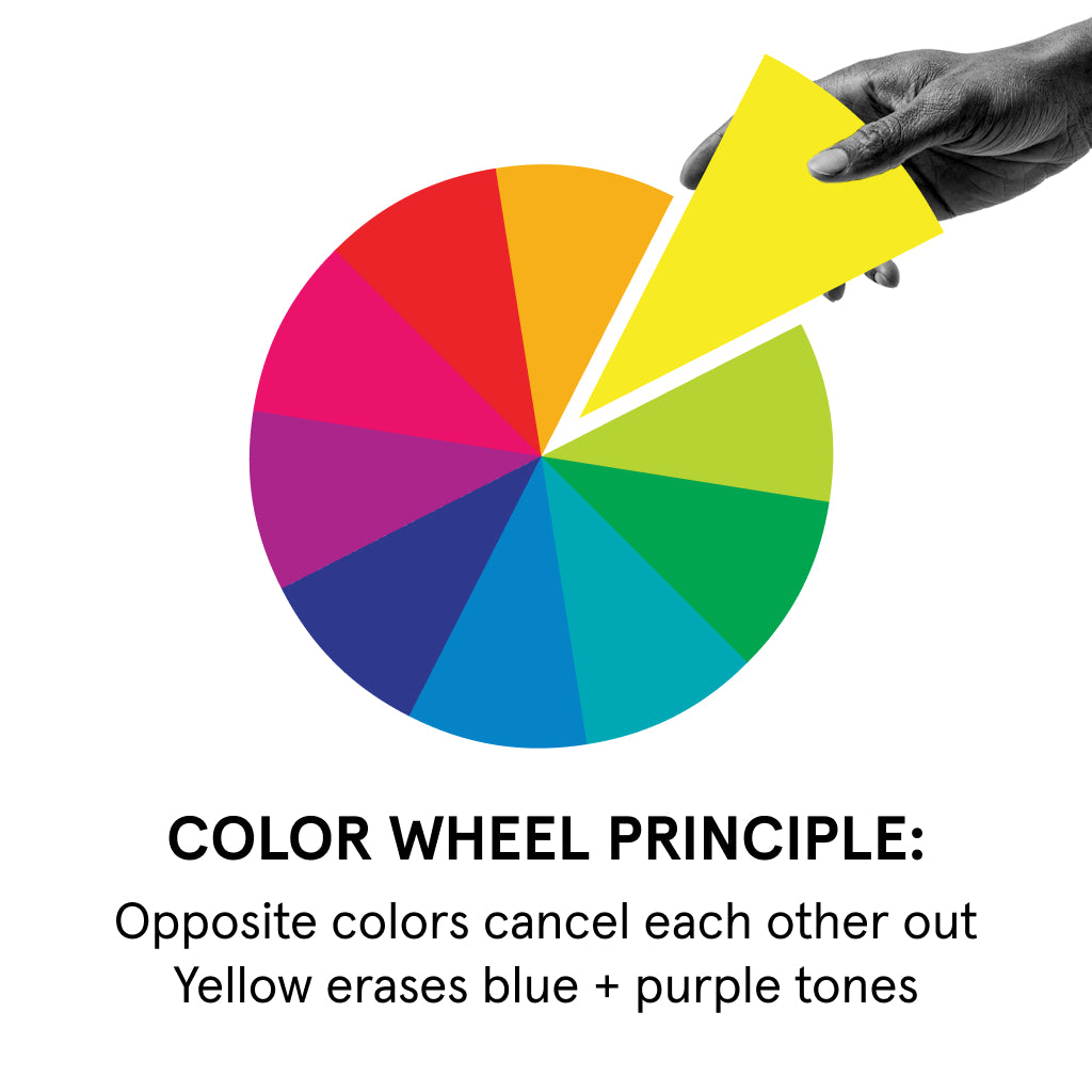 Hand holding yellow color wheel segment illustrating color theory with opposite colors canceling blue and purple tones.